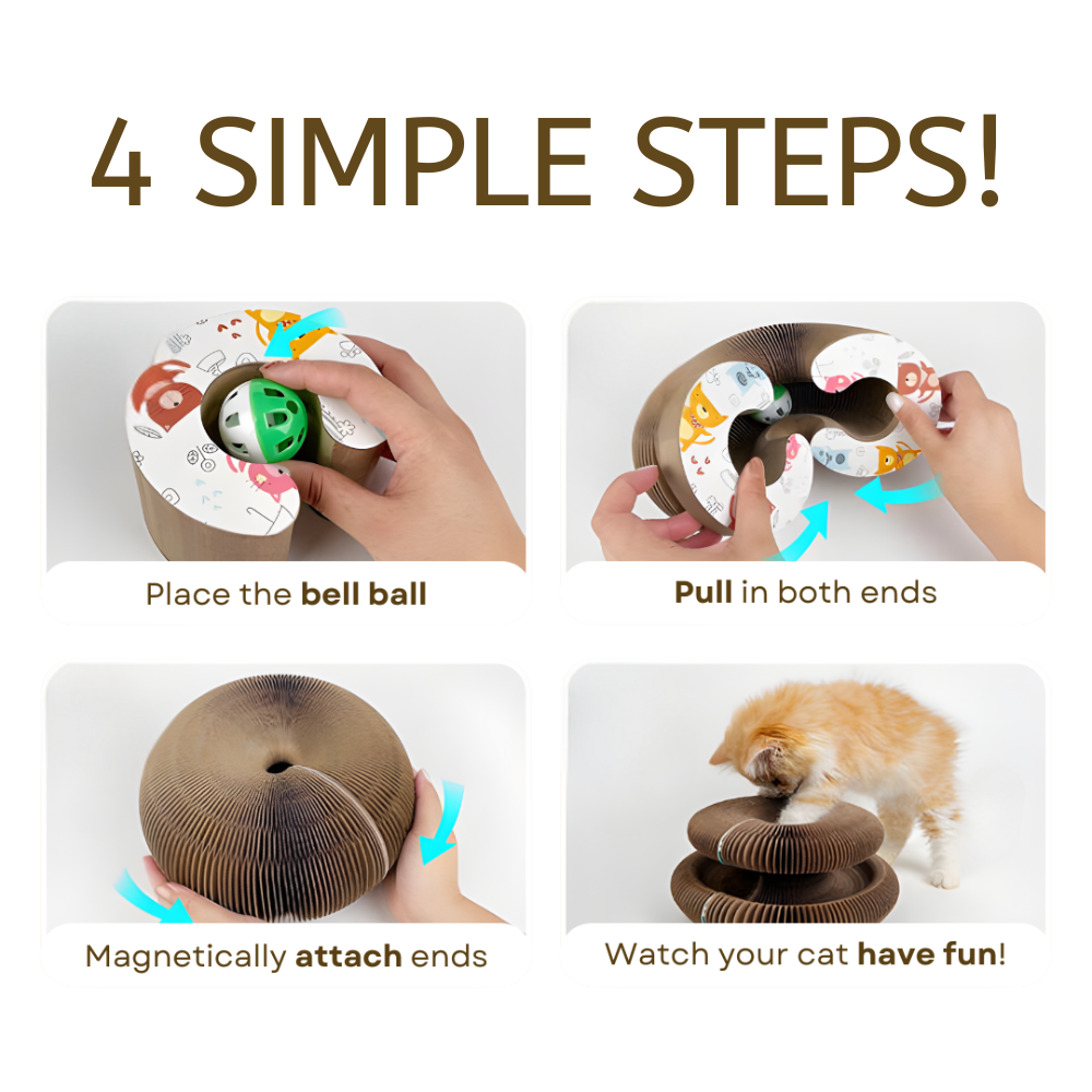 Magic Cat Scratching Board - vicassy.com