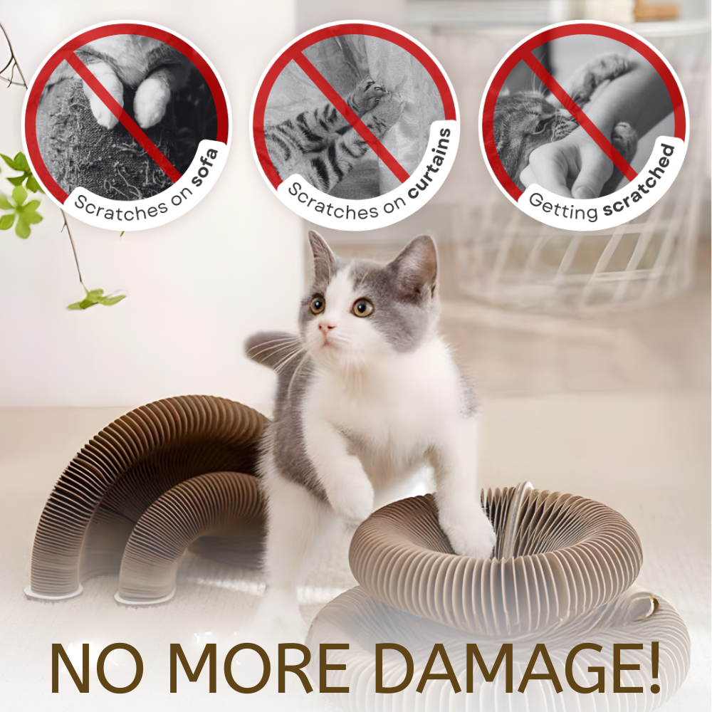 Magic Cat Scratching Board - vicassy.com