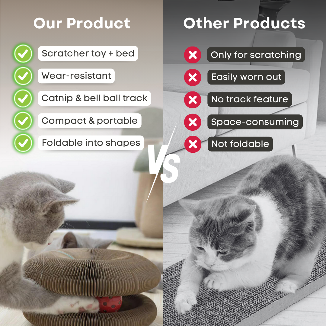 Magic Cat Scratching Board - vicassy.com