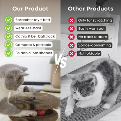 Magic Cat Scratching Board - vicassy.com