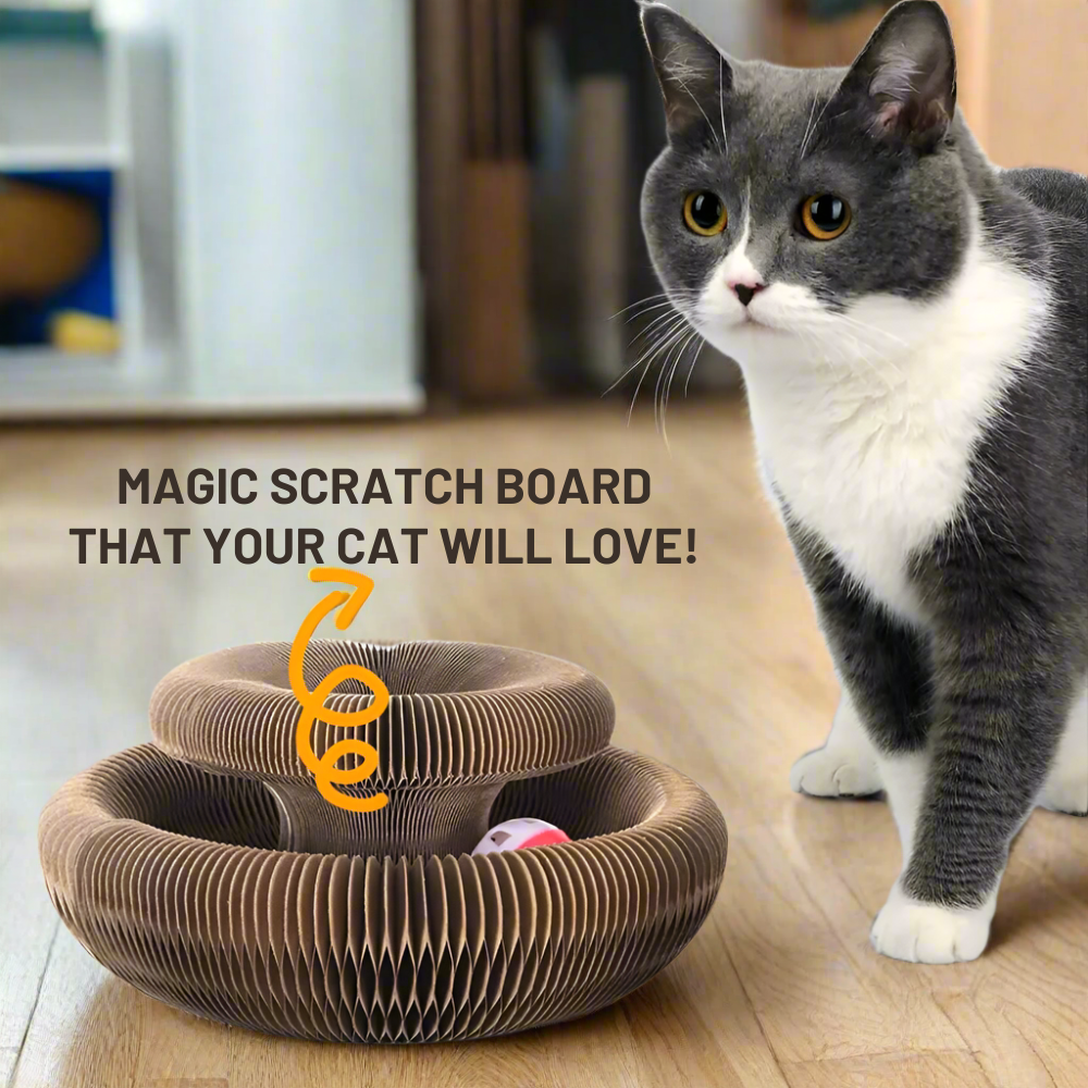 Magic Cat Scratching Board - vicassy.com
