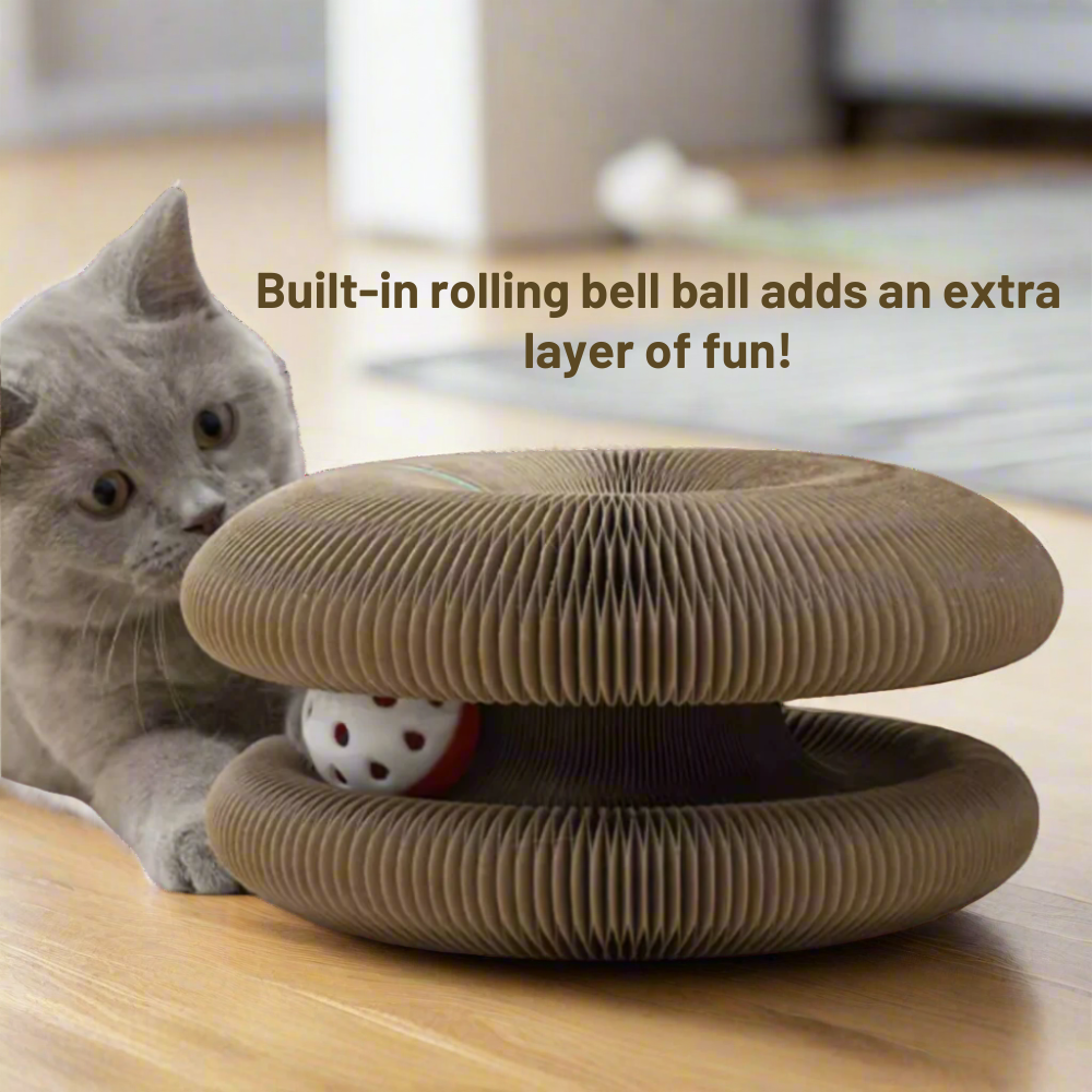 Magic Cat Scratching Board - vicassy.com