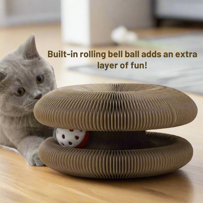 Magic Cat Scratching Board - vicassy.com